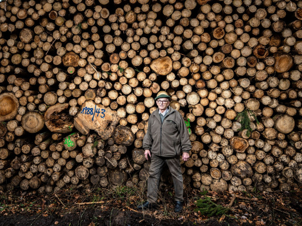 Dieter Blei (85 anni) davanti a un blocco di tronchi tagliati di conifere in una foresta in Germania