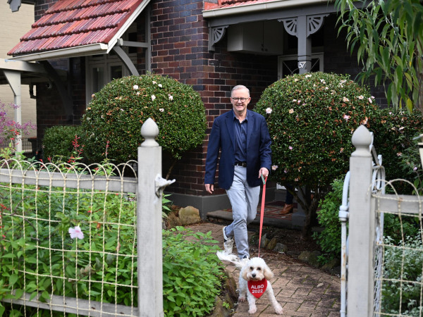 Il primo ministro australiano, Anthony Albanese, lascia la sua casa di Sydney per una passeggiata con il cane Toto