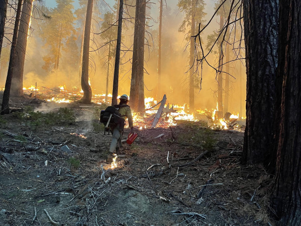 California (Stati Uniti). Operazioni di contenimento dell'incendio 'Washburn Fire' all'ingresso sud del Parco nazionale di Yosemite.