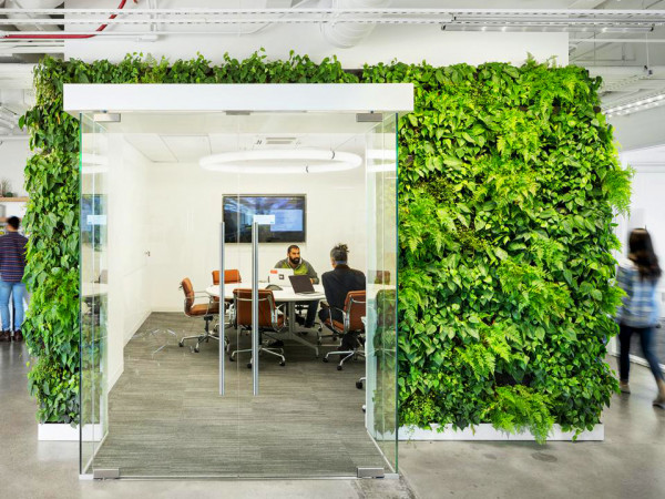 L'ufficio di Solar Mosaic in Oakland, California, con un muro vivente di Habitat Horticulture
