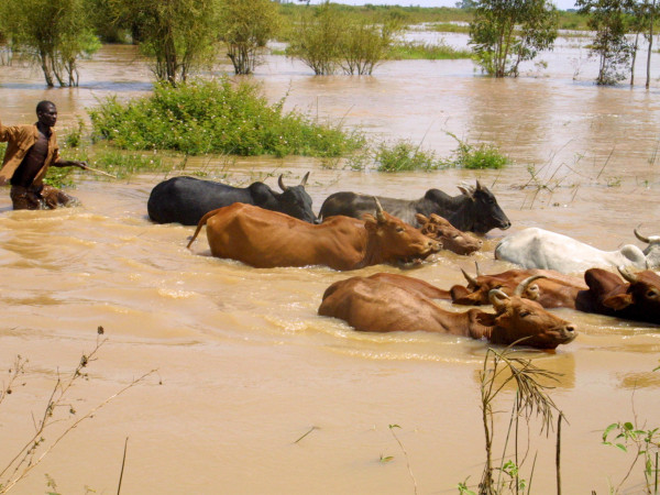 Alluvione nell'area di Budalangi nel Kenya occidentale nel 2007