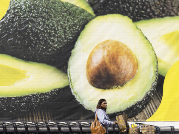 A shopper pushes a grocery cart in front of the image of avocados outside a new Lidl grocery store location on the store's opening day in Washington, DC, USA