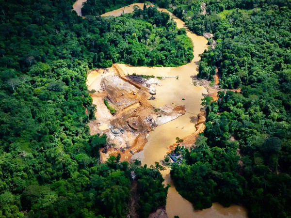La "Strada del Caos" attraversa il territorio degli Yanomami in Amazzonia.