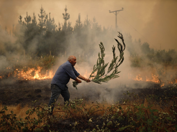 Santa Juana (Cile). Vigili del fuoco e residenti lavorano per spegnere un incendio. Sale a 15 il bilancio delle vittime dei roghi che hanno già distrutto più di 45.000 ettari nel centro e nel sud del Paese.