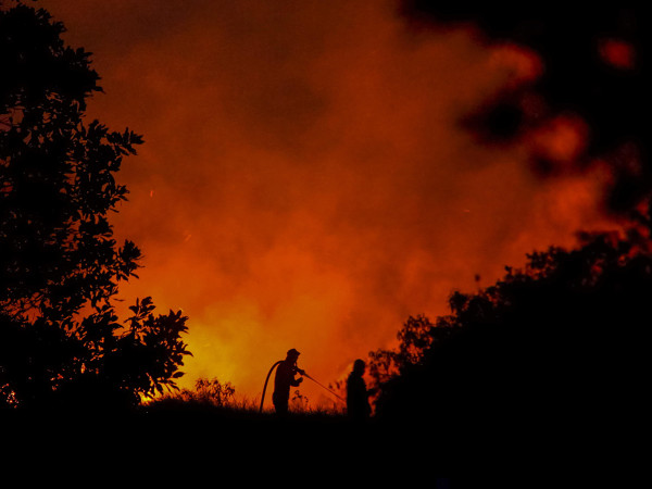 Ogan Ilir (Indonesia). Due vigili del fuoco al lavoro per spegnere un incendio nella reggenza di Palemraya, nella Sumatra meridionale. In questa zona sono stati rilevati focolai di incendi boschivi che hanno peggiorato la qualit&agrave; dell'aria. Si prevede che il fumo provocato dai roghi provochi foschia nei Paesi limitrofi.&nbsp;</p>