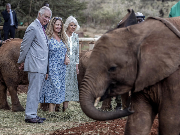 Britain's King Charles, Sheldrick Wildlife Trust CEO Angela Sheldrick, and Britain's Queen Camilla look at an elephant during a visit to the Sheldrick Wildlife Trust elephant orphanage, on the outskirts of Nairobi, Kenya, 01 November 2023