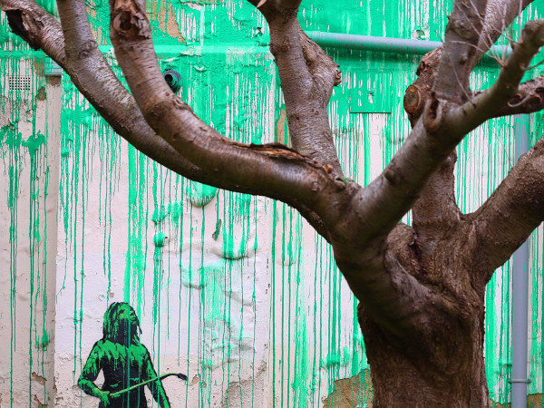 Londra (Regno Unito). Un murale &egrave; apparso domenica in Hornsey Road, nel quartiere di Finsbury Park. La vernice verde sulla parete bianca dietro all'albero spoglio sembra il suo fogliame, e lo stencil di una persona che tiene un tubo a pressione sotto il dipinto sembra qualcuno che l&rsquo;ha spruzzata. L'opera &egrave; stata pubblicata dallo street artist Banksy sul suo profilo Instagram.&nbsp;