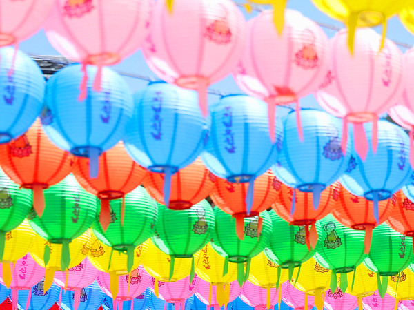 Daegu (Corea del Sud). File di lanterne buddiste colorate sono appese in un tempio a circa 230 km a sud-est di Seoul, mentre il Paese osserva il compleanno di Buddha, che si celebra il 15 maggio.&nbsp;