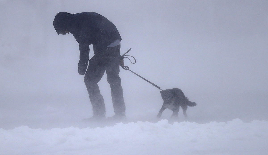 Massachusetts. Un uomo, Keenyn Pombo, combatte contro un vento fortissimo con il suo cane Cedar che non ne vuol sapere di muoversi, sulla spiaggia di Skaket Beach a Cape Cod, Orleans.