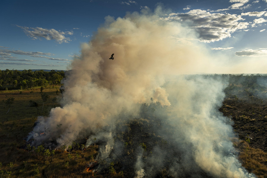 Il popolo Nawarddeken si serve del fuoco per gestire la propria terra di 1,39 milioni di ettari. I ranger di Warddeken combinano le conoscenze tradizionali con le tecnologie contemporanee per prevenire gli incendi, diminuendo le emissioni di CO2 che surriscaldano il pianeta. (EPA/Matthew Abbott)