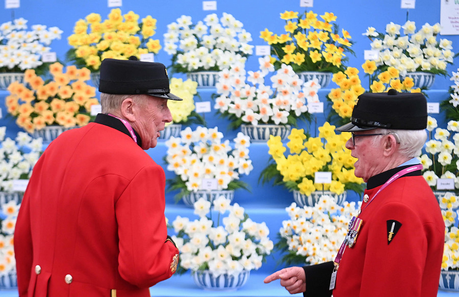 Londra (Gran Bretagna). Due pensionati osservano l’esposizione floreale Chelsea Flower Show organizzata dalla Royal Horticultural Society. La mostra orticola si svolge dal 24 al 28 maggio 2022 presso il Royal Chelsea Hospital. 