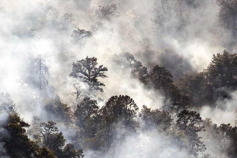 Wrightwood (California). Un terribile incendio &egrave; scoppiato tra le colline e le montagne di Wrightwood, nel sud della California. Il clima particolarmente caldo e secco crea le condizioni perfette per lo scoppio di incendi nella regione.