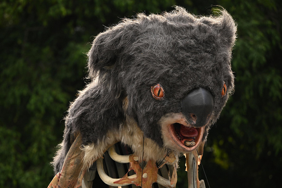 Melbourne (Australia). Blinky, lo scheletro-koala di 4 metri creato per sensibilizzare l’opinione pubblica sugli effetti del cambiamento climatico, viene esibito dagli attivisti radunati davanti al Parlamento nello Stato federato di Victoria. 