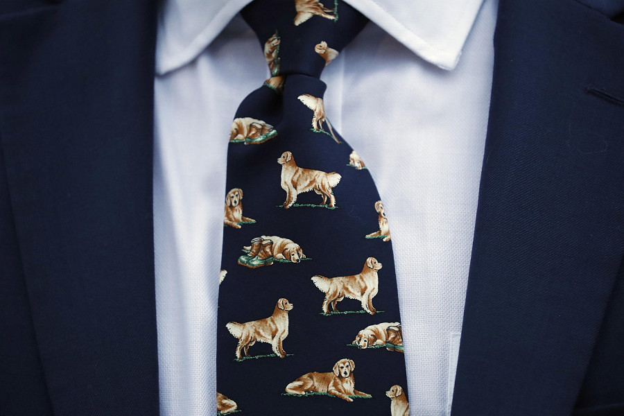 New York (Stati Uniti). Un uomo indossa una cravatta con una stampa curiosa che raffigura dei Golden Retriever in varie pose, durante l&rsquo;Annual Westminster Kennel Club Dog Show, la mostra canina presso la Lyndhurst Estate a Tarrytown.