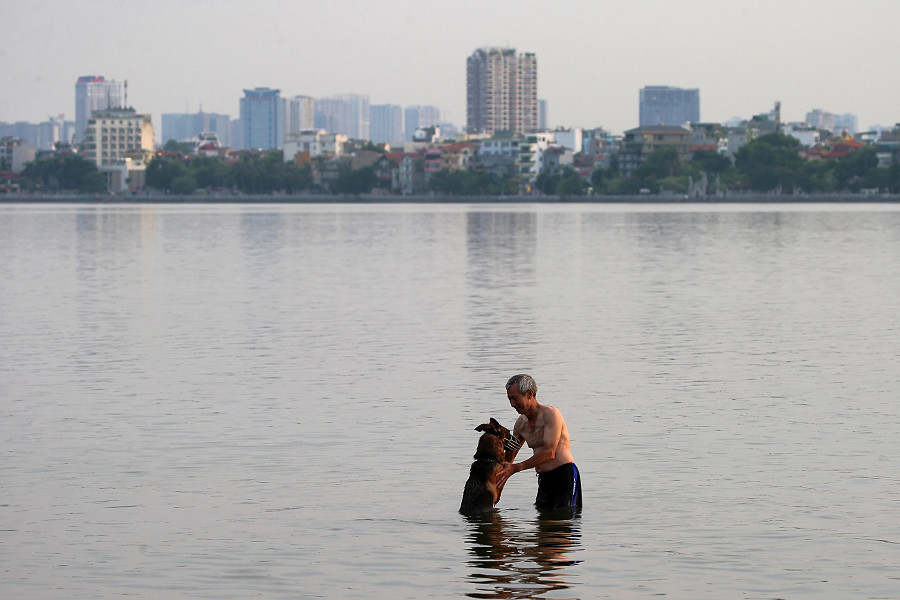 (Hanoi, Vietnam). Un uomo si fa il bagno assieme al proprio cane nel West Lake, una destinazione piuttosto gettonata per sfuggire alle temperature altissime (EPA/LUONG THAI LINH)
