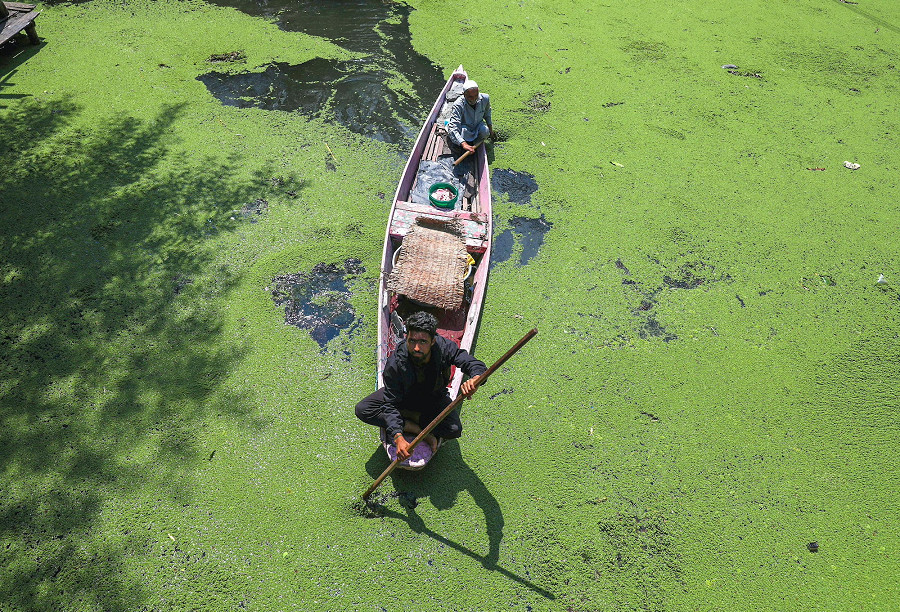 Srinagar (India). Due uomini remano nell’acqua piena di alghe del lago Dal, il secondo pi&ugrave; grande nello Stato del Kashmir, lungo circa sei chilometri: la Shikara &egrave; la barca tradizionale e il simbolo culturale di questo luogo.