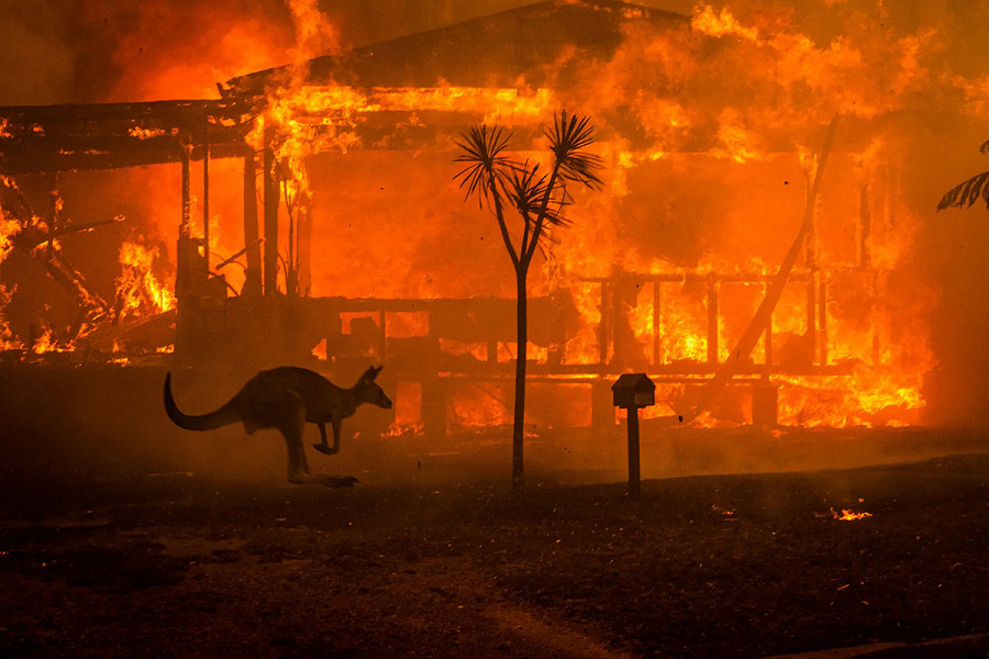 Lake Conjola (Australia). Un canguro passa di corsa davanti a una casa in fiamme nel New South Wales, a poca distanza dalla capitale Sidney. Gli incendi hanno imperversato lungo la costa orientale dell’Australia all’inizio del 2020. 