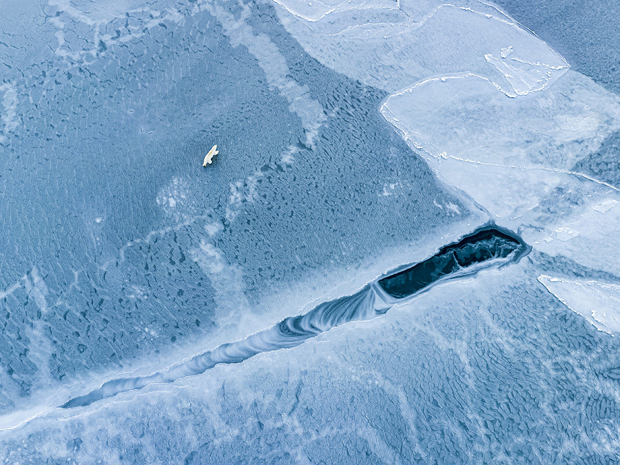 Svalbard (Norvegia). I ghiacci polari si stanno sciogliendo pi&ugrave; rapidamente del previsto. Secondo uno studio, indipendentemente dalle emissioni, tra meno di un decennio l&rsquo;Artico potrebbe rimanere senza ghiaccio marino in settembre, con conseguenze drammatiche per tutto il Pianeta.