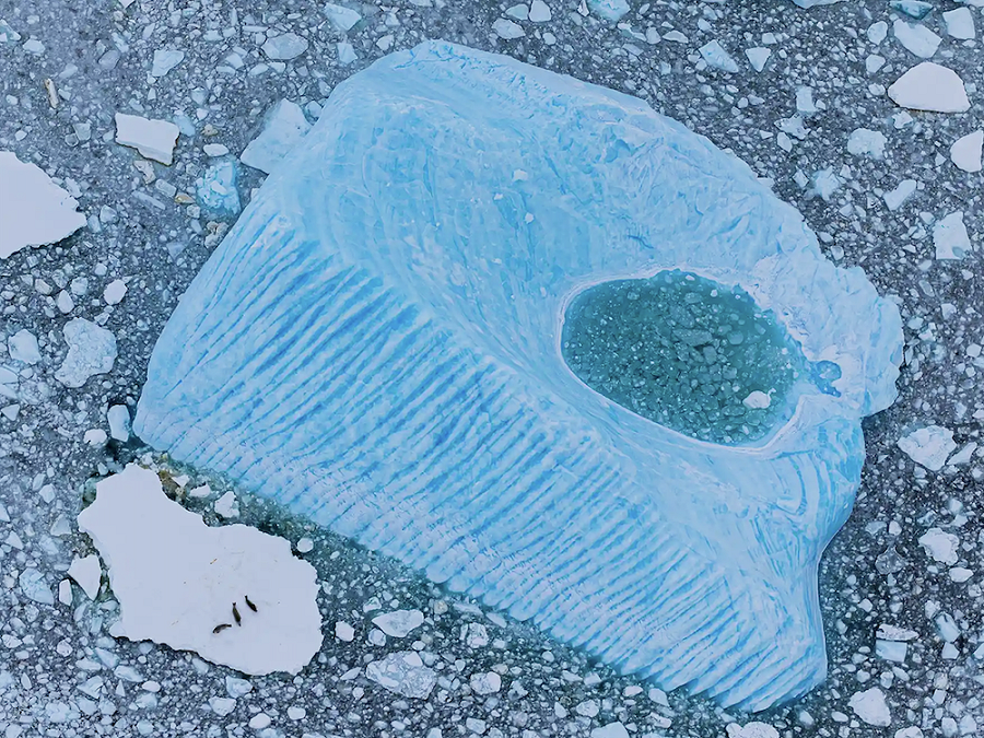 Mare di Bellingshausen (Antartide). Tre foche riposano su uno degli unici banchi di ghiaccio rimasti nello specchio d&rsquo;acqua antartico, circondate da un puzzle di blocchi pi&ugrave; piccoli. Accanto a loro, se ne stanno formando altri nella cavit&agrave; interna di un iceberg rovesciato.