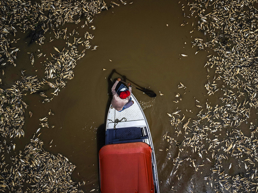 Manacapuru (Brasile). Un barcaiolo naviga tra migliaia di pesci morti a causa del calore e dell’acidit&agrave; dell’acqua all&rsquo;interno della Riserva per lo sviluppo sostenibile del Lago do Piranha. Secondo la Protezione Civile dello Stato di Amazonas, pi&ugrave; di 80.000 persone sono state colpite dalla siccit&agrave;. Il Governo sta preparando una task force per fornire assistenza di emergenza agli abitanti della regione amazzonica.