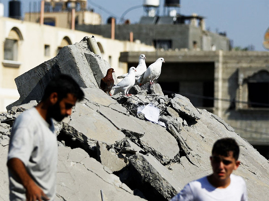 Khan Younis (Palestina). Alcuni uccelli stanno appollaiati sulle macerie degli edifici crollati per i bombardamenti israeliani, mentre dei palestinesi cercano le vittime di un attacco aereo contro una casa nel sud della Striscia di Gaza.