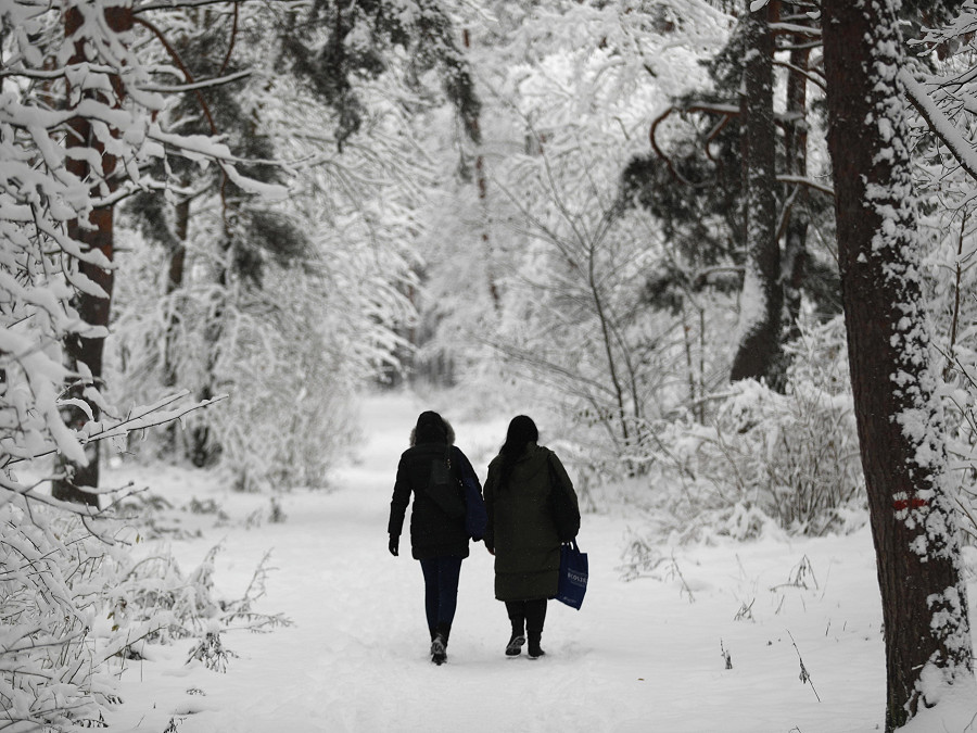 Riga (Lettonia). Due donne camminano lungo la foresta di Smerlis. La neve, che ha iniziato a cadere nelle prime ore del mattino, ha formato in poco tempo uno strato di 10 centimetri. Il Comune ha invitato i residenti a prestare estrema attenzione e lavorare il pi&ugrave; possibile da remoto.