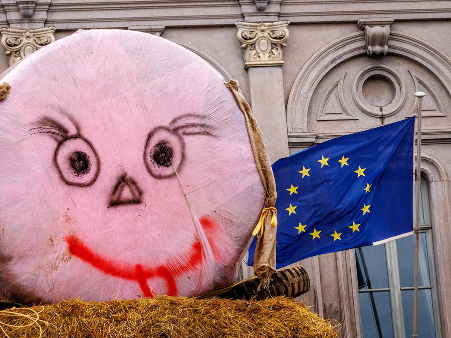 Bruxelles (Belgio). La mascotte degli agricoltori davanti al Parlamento Ue durante una protesta per chiedere maggiore attenzione al reddito e la fine degli accordi di libero scambio che svantaggio dei produttori europei. 