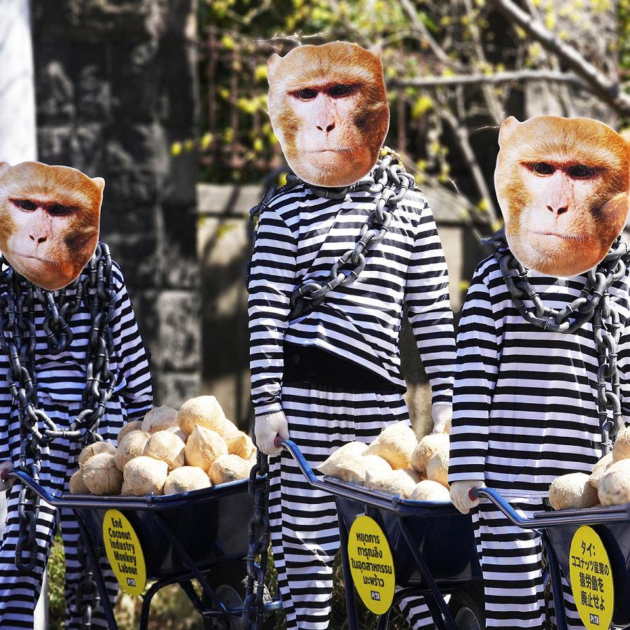 Tokyo (Giappone). I manifestanti indossano uniformi da prigionieri, maschere da scimmia e trasportano pile di noci di cocco su carriole. Una protesta contro l’industria tailandese della raccolta delle noci di cocco, che sfrutta le scimmie.