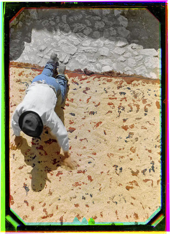 Werner Bischof. Essicazione del grano, Castel di Sangro, Italia, 1946. Stampa a getto d’inchiostro da ricostruzione digitale, 2022. © Werner Bischof Estate / Magnum foto