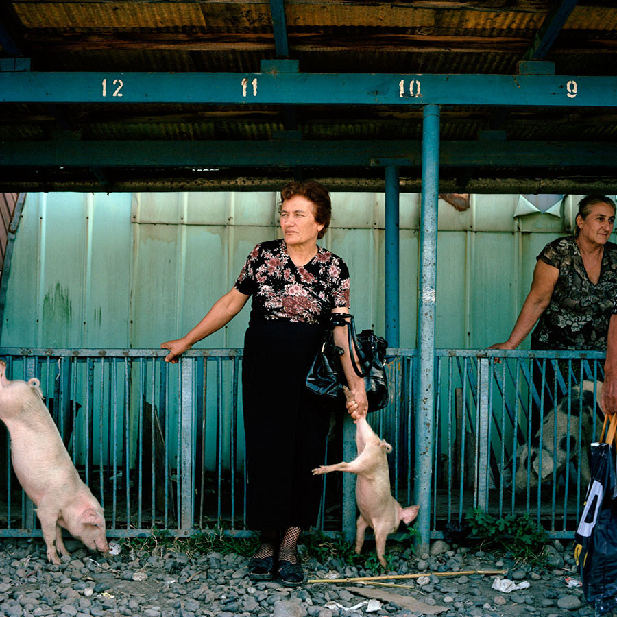 2010, Gali, Abkhazia. Una donna georgiana di Minarelia aspetta di vendere un maiale al mercato di Gali