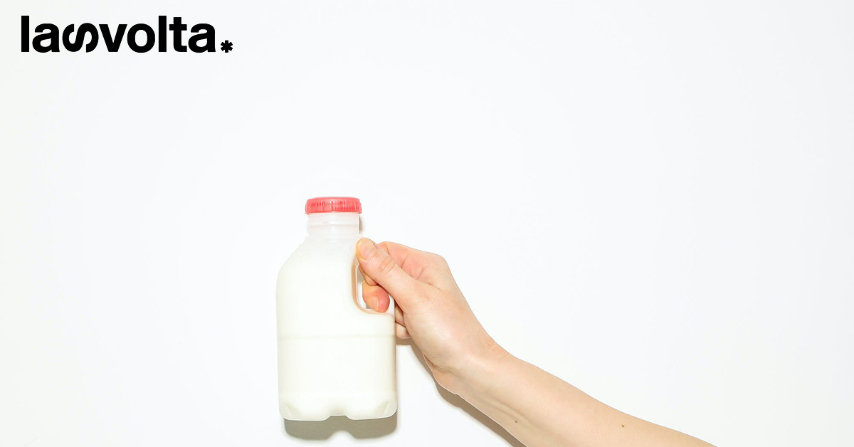 Una nueva investigación revela los horrores detrás de la industria láctea
