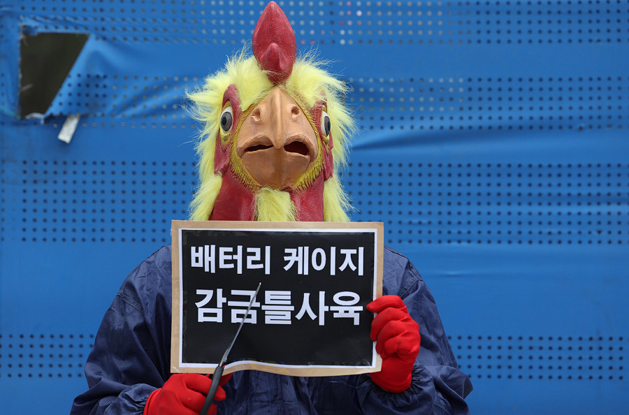 Un raduno vegano a Seoul per l'abolizione dell'allevamento di pollame in gabbia e per chiedere alle persone di diventare vegane a beneficio della propria salute.