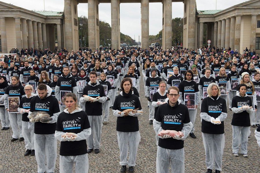 Circa 300 attivisti per i diritti degli animali, del gruppo Animal Equality, durante la protesta silenziosa presso la Porta di Brandeburgo, nel centro di Berlino (ottobre 2017)