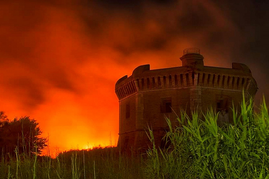 Alcuni momenti dell'incendio che il 27 giugno ha colpito una vasta area di vegetazione nella zona di via dell'Idroscalo ad Ostia