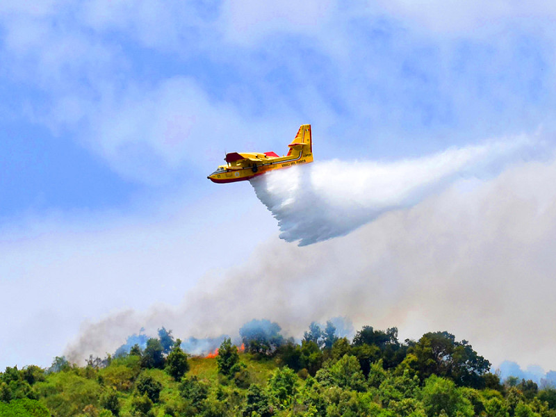 Un momento delle operazioni aeree per spegnere l'incendio nelle aree boschive di Pedara, centro alle pendici dell'Etna, 26 Luglio 2023.