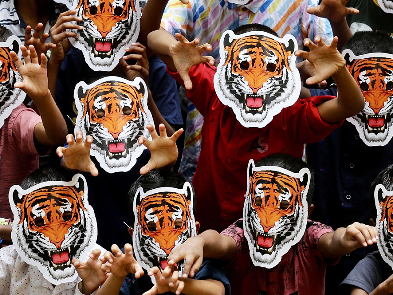 Bangalore (India). Un gruppo di bambini sostenuti dall'organizzazione internazionale Don Bosco indossano maschere da tigre per la campagna di sensibilizzazione "Save Our Tiger" in occasione della "Giornata internazionale della tigre", che si celebra il 29 luglio. 