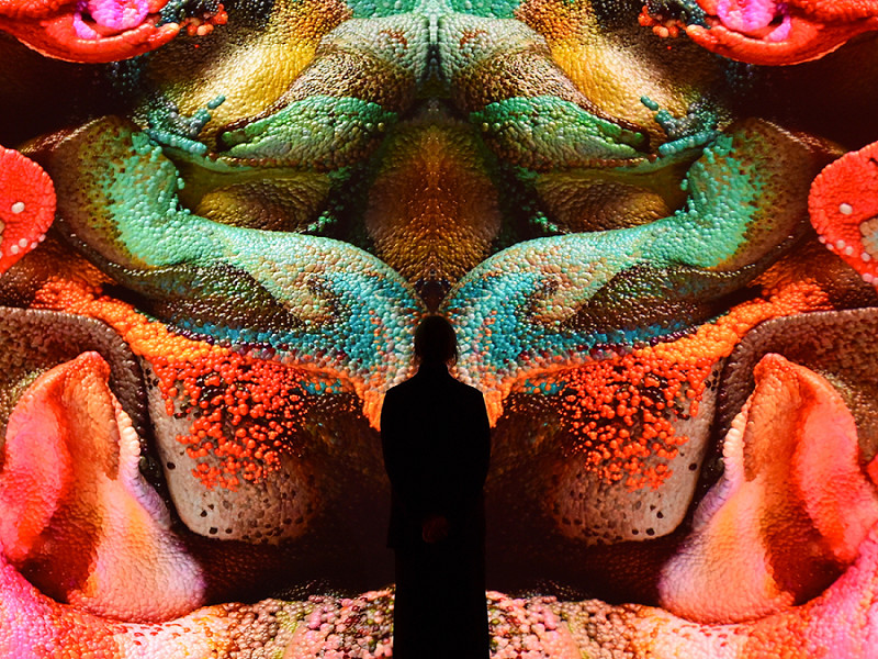 Londra (Inghilterra). Le opere dell'artista Refik Anadol, esposte alla Serpentine North Gallery, nell'ambito della mostra personale Echoes of the Earth: Living Archive. Un viaggio esplorativo tra paesaggi sottomarini e foreste pluviali realizzato con l&rsquo;intelligenza artificiale</p>