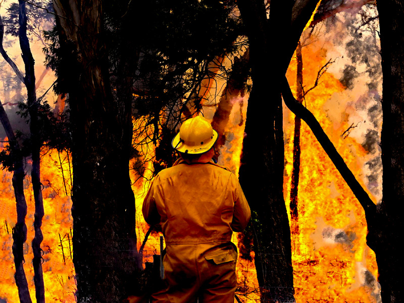 Mildura (Australia). Nello stato australiano di Victoria imperversano continui incendi boschivi. Permane il massimo grado di allerta, mentre, secondo il Bureau of Meteorology,&nbsp; Mildura, una citt&agrave; rurale di circa 56.000 abitanti, potrebbe toccare i 45 gradi Celsius.