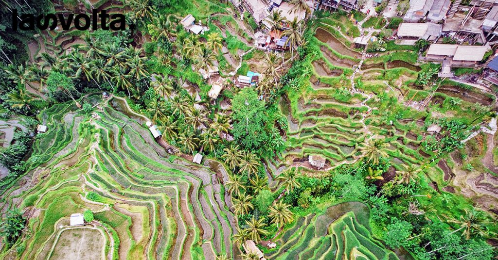 Indonesia: la deforestazione diminuisce sempre di più