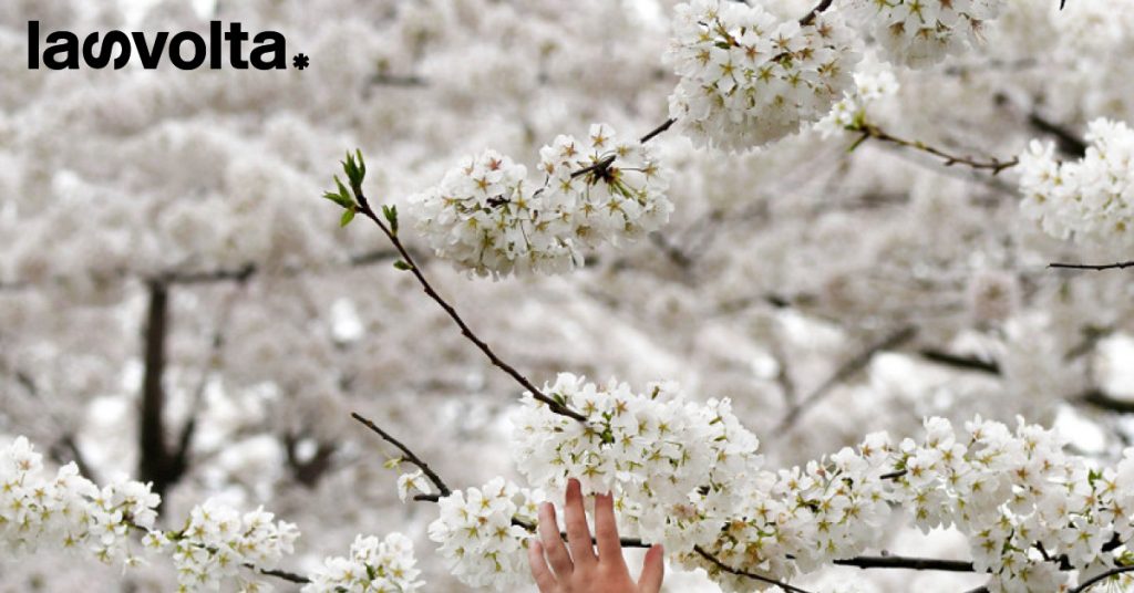 6 marzo 2023. Washington, Coachella Valley, Yong Peng