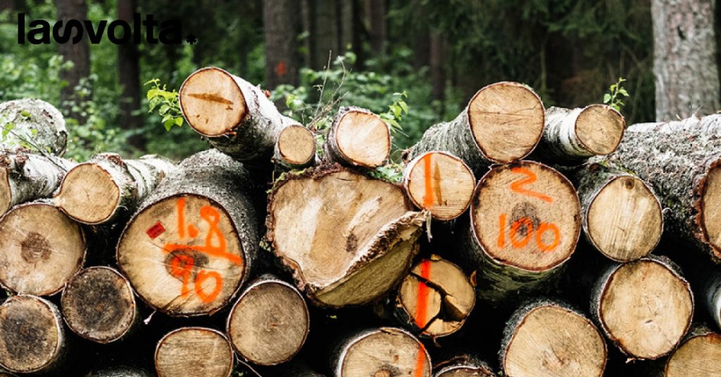 Gli organismi di certificazione ambientale fanno greenwashing?