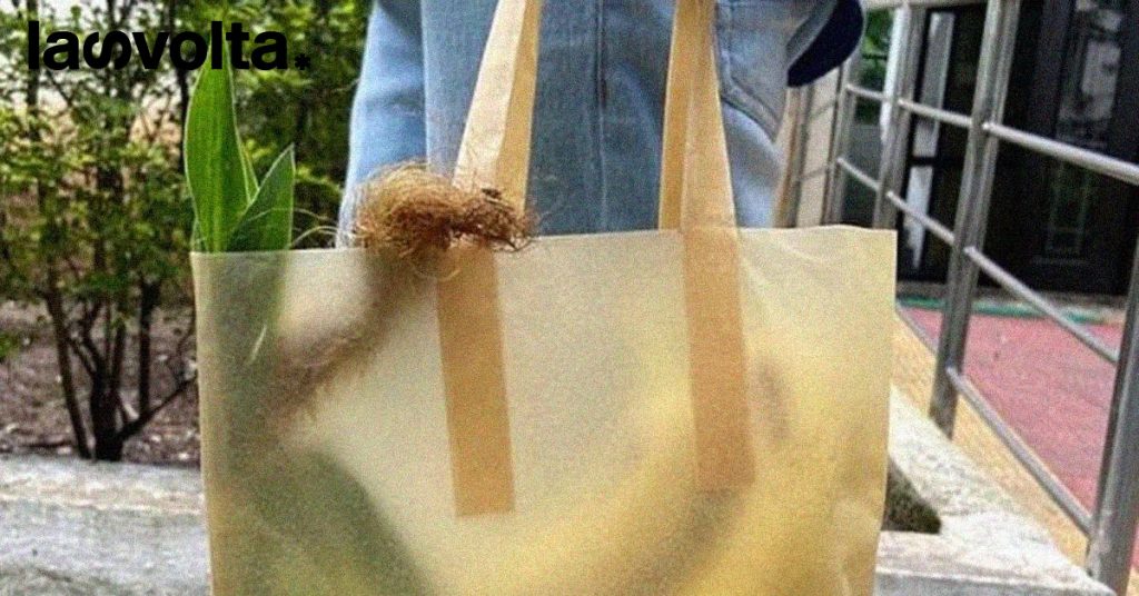 Imballaggi di alghe e… piccole grandi idee per il Pianeta