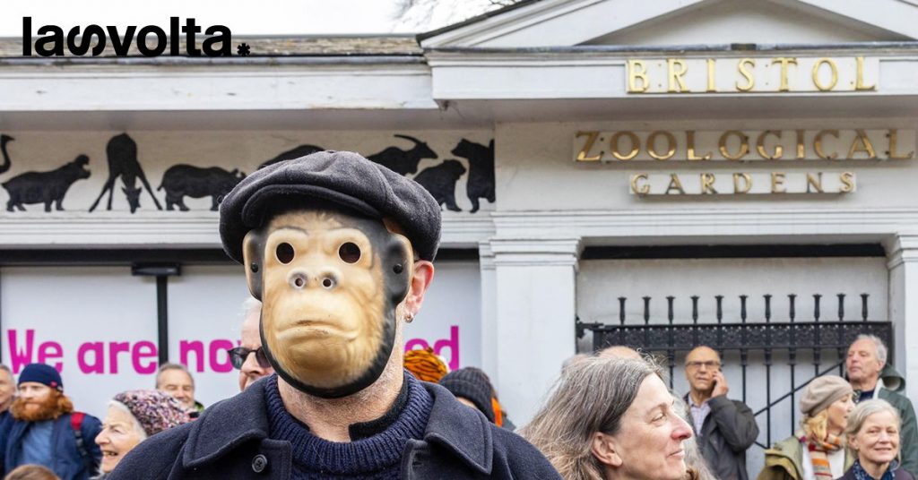 14 marzo 2023. Bristol, Tel Aviv, Tokyo