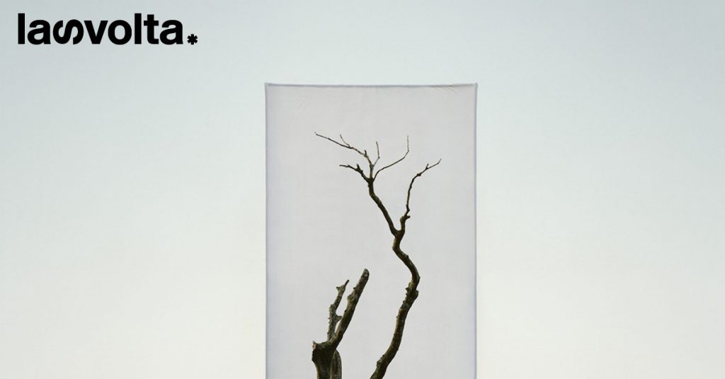 Tuteliamo gli alberi come le opere d’arte