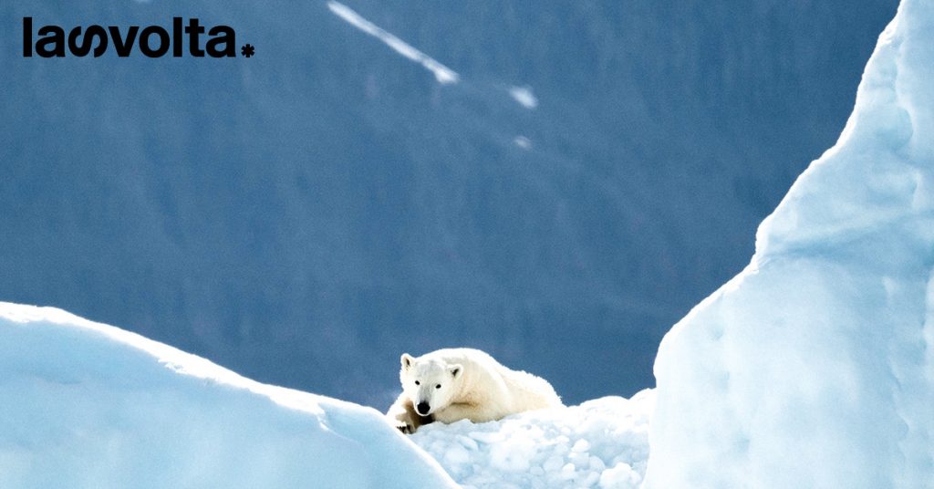 Si può sopravvivere alla crisi climatica?