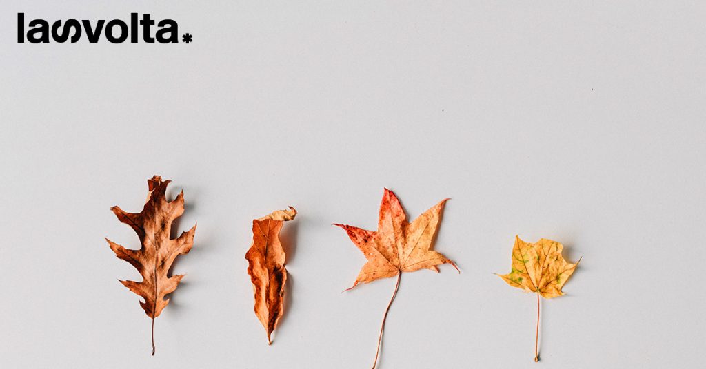 Altro che verde, l’estate è sempre più marrone