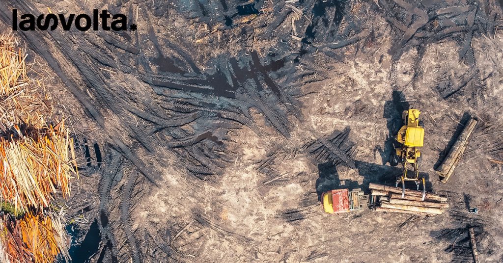 I crimini contro la natura sono tra i più redditizi al mondo