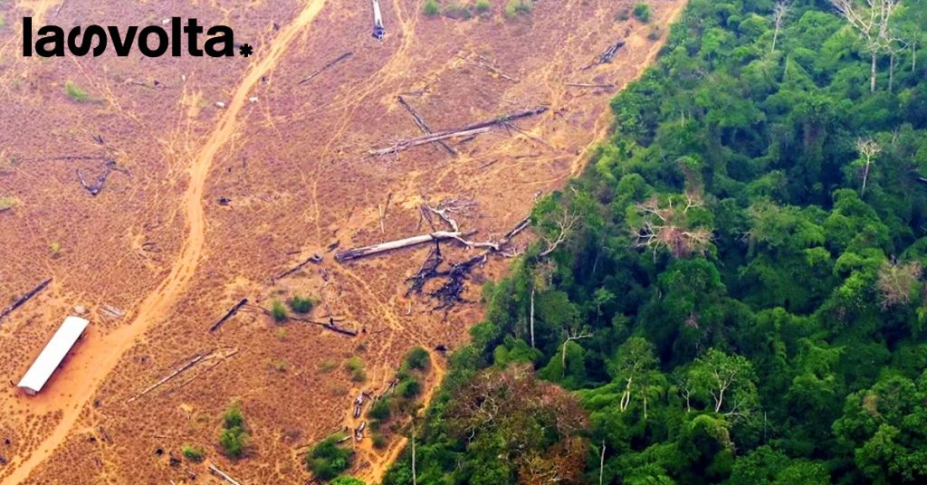 La scomparsa delle foreste centro-americane ha un prezzo