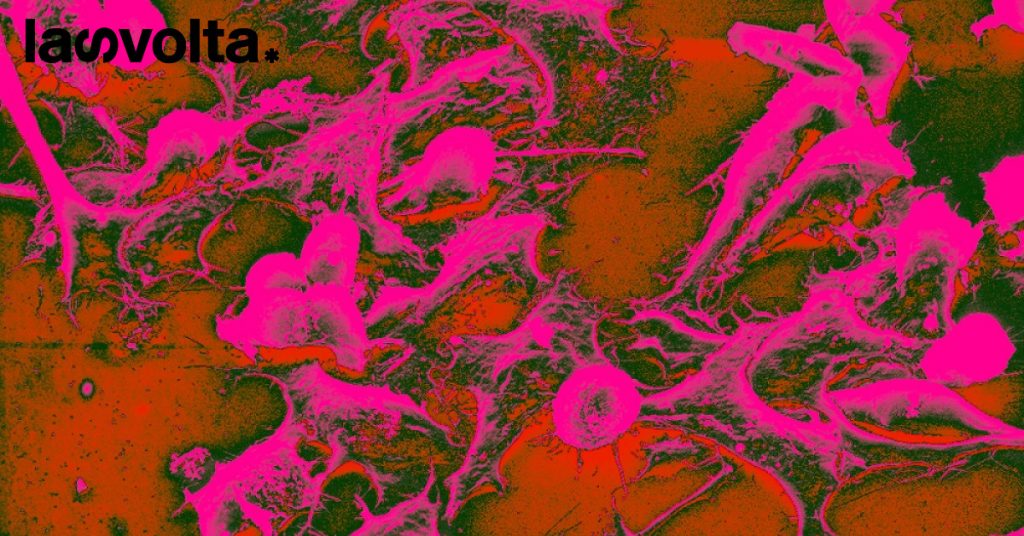 Cancro: al Sud meno chance di una diagnosi precoce