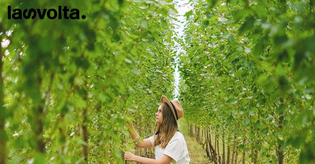 Fao, agricoltura: le lavoratrici guadagnano il 18% in meno